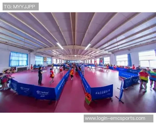 运动最新数据张敏回顾乒乓球生涯的辉煌与挑战分享她的成长与坚持之路